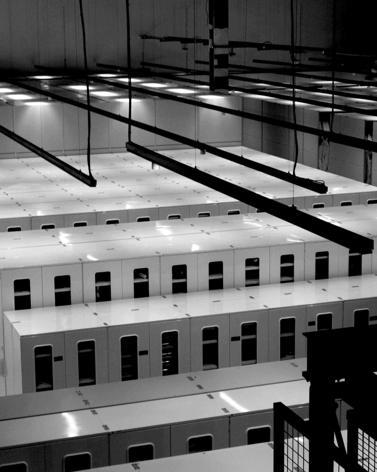 Rows of server cabinets in a data center